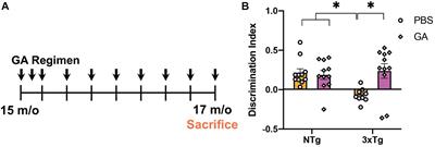 Evaluating Effects of Glatiramer Acetate Treatment on Amyloid Deposition and Tau Phosphorylation in the 3xTg Mouse Model of Alzheimer’s Disease